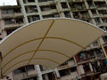 Canopy, Canopies