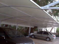 Canopy, Canopies